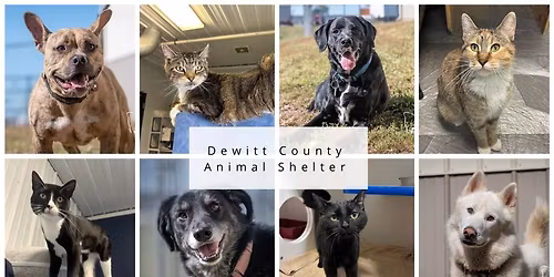 Christmas Adoption Event @ DCAC