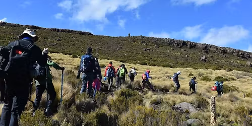 Mount kenya day hike(mackinders valley)