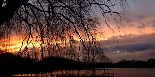 Nacht van het Domein