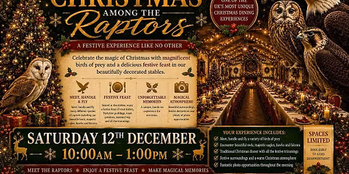 Christmas Among the Raptors