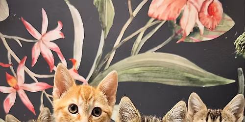 Grateful Friends Animal Rescue 6th Anniversary 