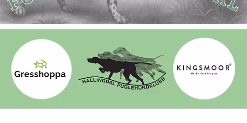 Hallingdal Fuglehundfestival 2026