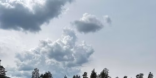 Hallingdal Fuglehundfestival 2026