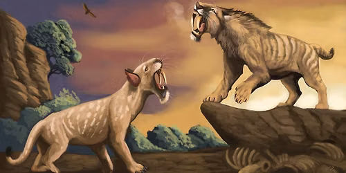 Science Pub: Convergent Evolution