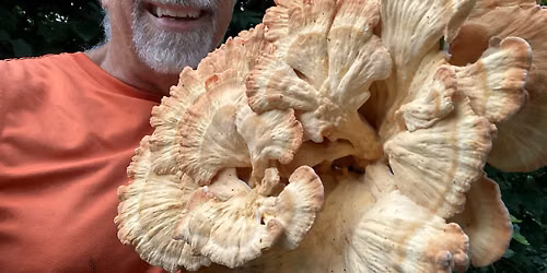 Forage Mushrooms Without Dying ID Class