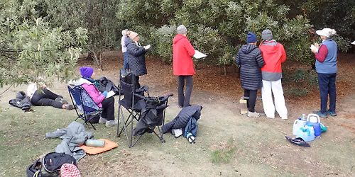 Hobart Nature Journalling Group-July