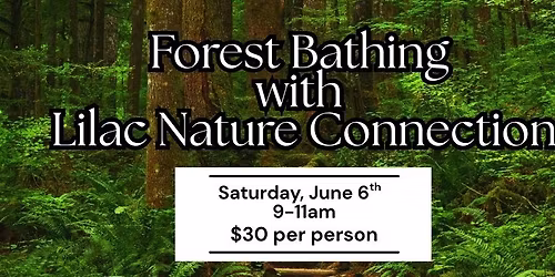 Forest Bathing with Lilac Nature Connection