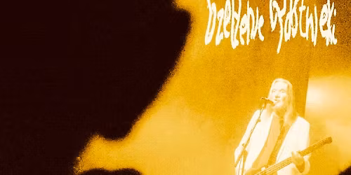 DZELTENIE PASTNIEKI \/\/ Dj KisMel