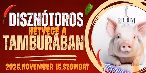 DISZN\u00d3TOROS h\u00e9tv\u00e9ge a Tambur\u00e1ban