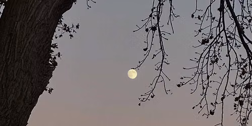 Full Moon Hike