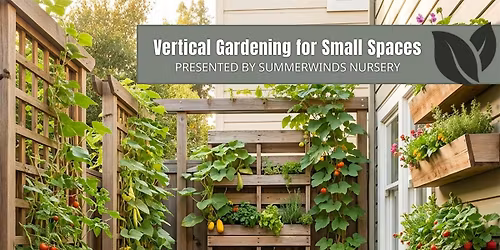 Vertical Gardening for Small Spaces - Palo Alto