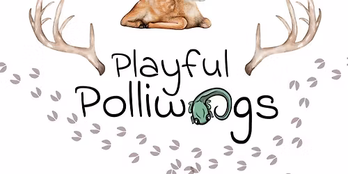 Playful Polliwogs: Deer