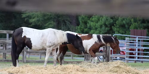 Spring Roundup Weekend