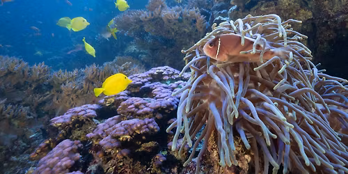 Tuesdays in the Field February 