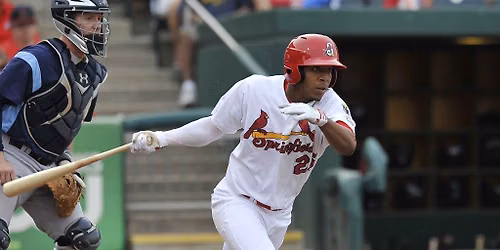 Midland RockHounds at Springfield Cardinals