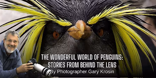 BACK BY POPULAR DEMAND! The Wonderful World of Penguins