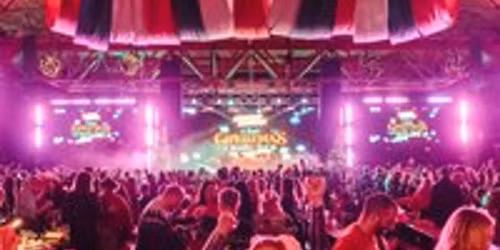 Bingo Lingo - Christmas Special - Daytime Session