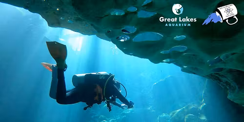 Caf\u00e9 Scientifique: A Deep Dive into SCUBA