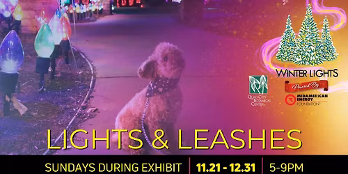 Lights & Leashes