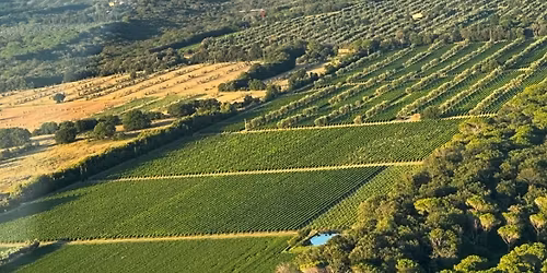 A Taste of Italy Wine Tasting Event