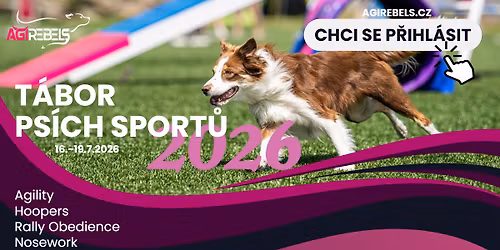 T\u00e1bor ps\u00edch sport\u016f - Vala\u0161sk\u00e1 Byst\u0159ice 