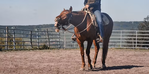 Horsemanship - teorie - pokra\u010dov\u00e1n\u00ed