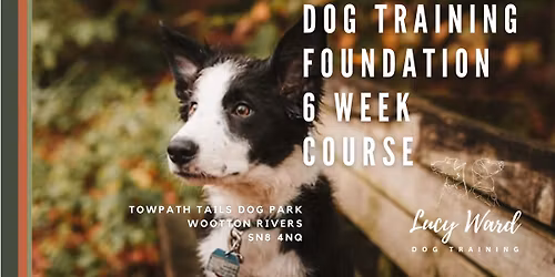 Dog Foundation 6 week course - Thursday 30th October, 10.30am