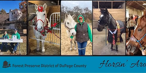 Horsin\u2019 Around Day: National Horse Protection Day