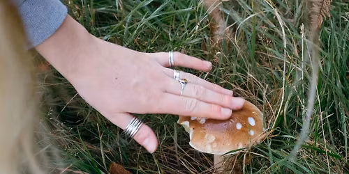 Foraging Walk With Fieldstudy
