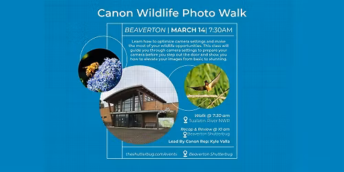 Morning Wildlife Photo Walk & Review