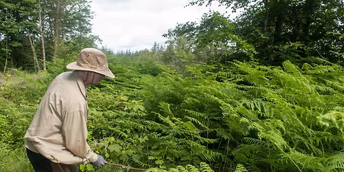 Save Our SSSI - Bracken Bashing!