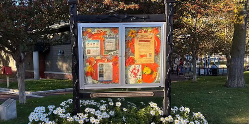 The trellis Lighting