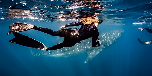 Baja California Ocean Safari