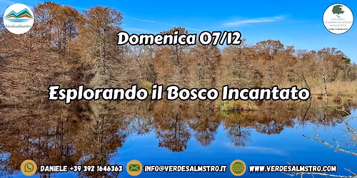 Esplorando il Bosco Incantato