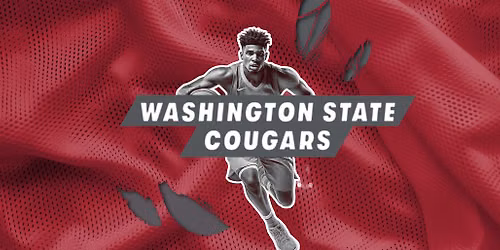 Lsu Tigers Vs. Washington State Cougars