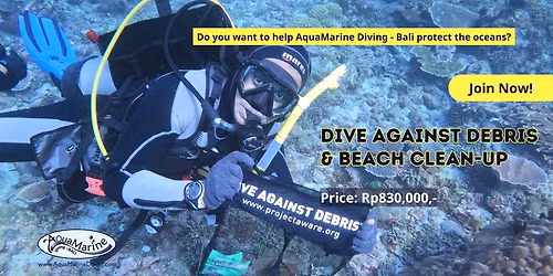 Beach Clean-up and Dive Against Debris