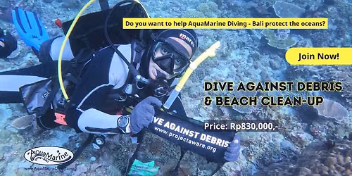 Beach Clean-up and Dive Against Debris