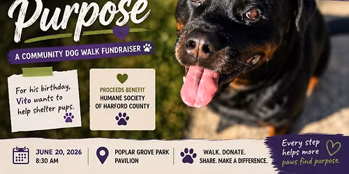 Paws With Purpose \ud83d\udc3e A Community Dog Walk Fundraiser