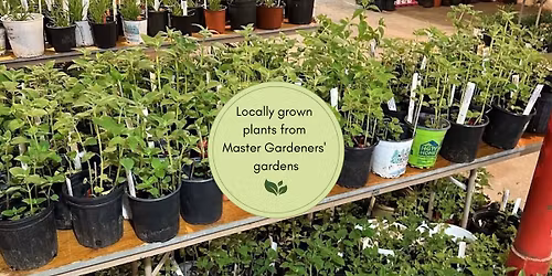 Master Gardeners Plant Sale 2026
