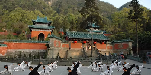 Weekly Training Session