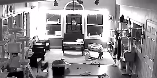 Lights Out Hour (Adults Only)