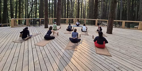 EARLY SEASON - Forest Yoga in Squamish -  Outdoor Series at Squamish Canyon