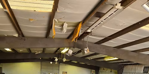 Holly Jolly Toy Run 2025