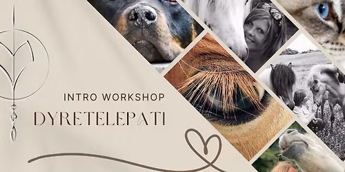 Dyretelepati intro workshop  - Mariager