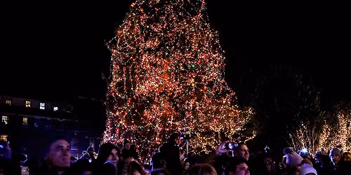 Palmer Square Annual Tree Lighting