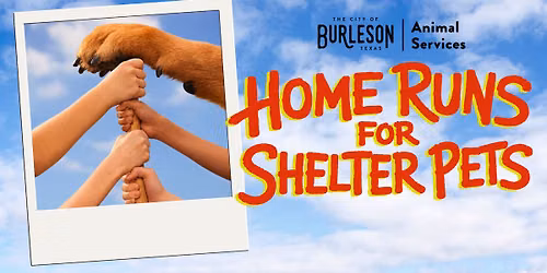 Home Runs for Shelter Pets