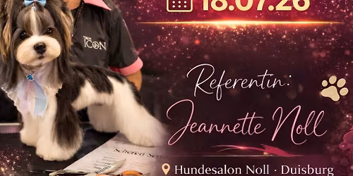 K\u00f6pfe und Basic Seminar