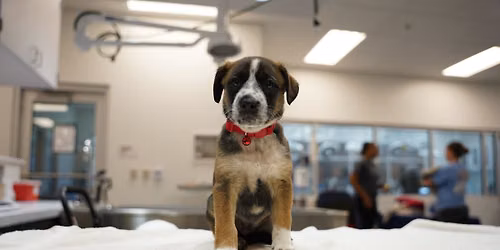 Low-Cost Marietta Vaccine Clinic