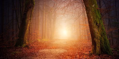 Mindful Grief Support