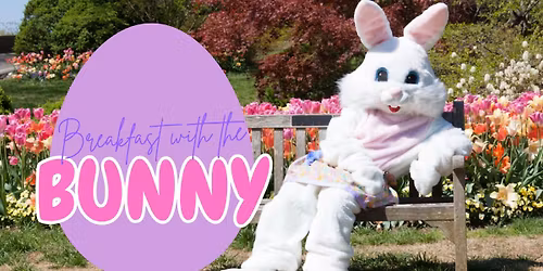 Breakfast with the Bunny